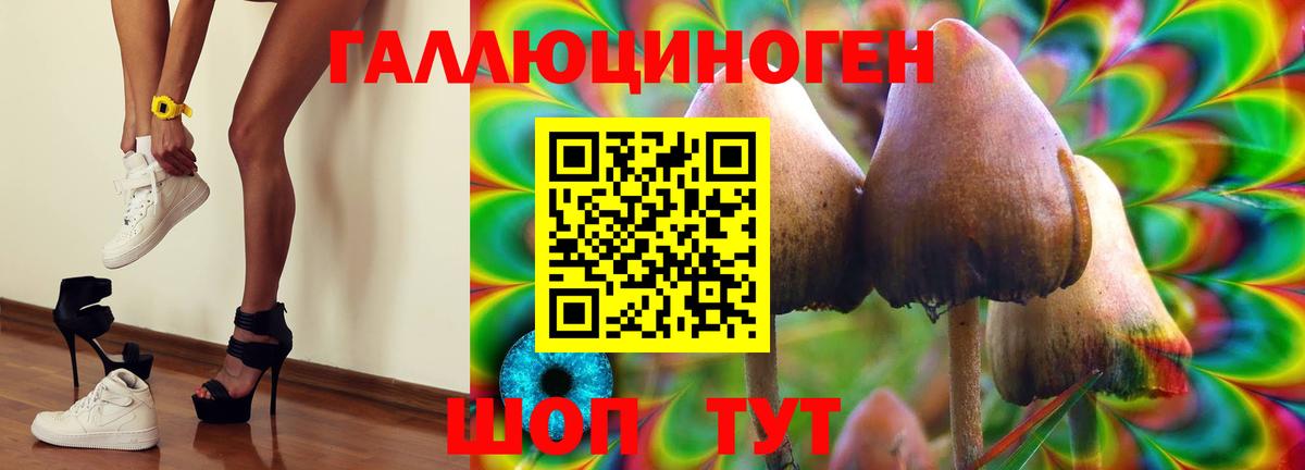 Галлюциногенные грибы Psilocybine cubensis Альметьевск